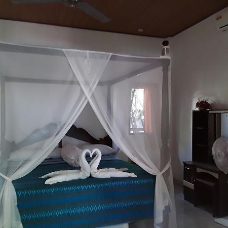 Blue Star Bungalows & Cafe Αμέντ Εξωτερικό φωτογραφία